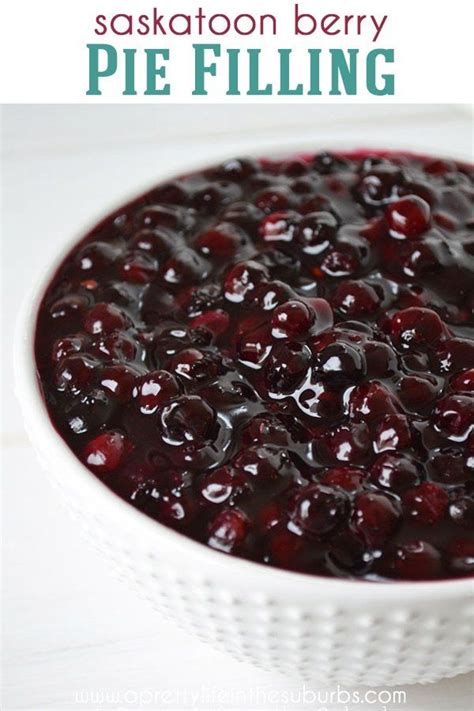 A bowl of homemade Saskatoon Berry Pie filling. | Berry pie filling, Berries recipes, Butter tarts