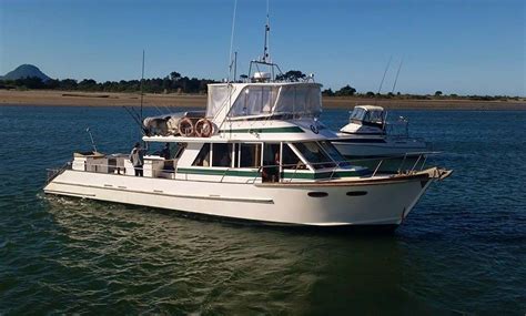 Overnight Fishing Charter In Whakatane | GetMyBoat