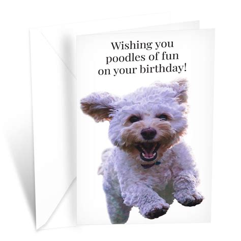 Funny Dog Birthday Card Pun With Poodle — Prime Greetings