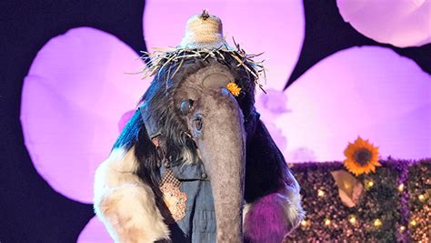 ‘The Masked Singer’ Preview: A New Clue About Anteater Is Revealed on Trolls Night