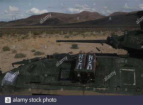 M242 bushmaster hi-res stock photography and images - Alamy