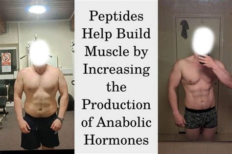 Best and Safest Peptides For Muscle Growth | Best HGH Doctors