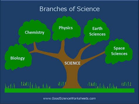 Branches of Science [Presentation] | Teaching Resources