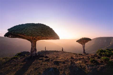 Experience the Rich Heritage and Natural Wonders of Yemen 🇾🇪 - Ancient Architecture 🕌 ...