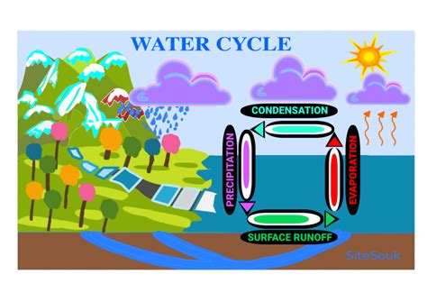 K8 Science Free download Water Cycle Worksheet Printable