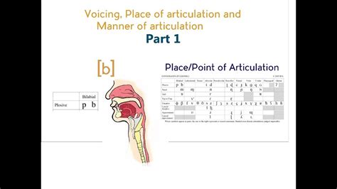 Voicing, Place & Manner of Articulation - Part 1 - YouTube