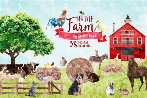 Farm Animals Illustrations