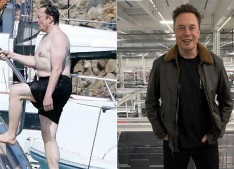 Elon Musk Weight Loss: Elon Musk Used a Weight-Loss Medicine To Get ...