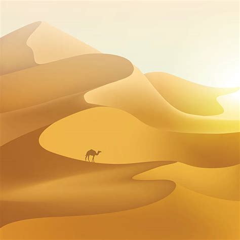 clipart sand dunes 20 free Cliparts | Download images on Clipground 2024