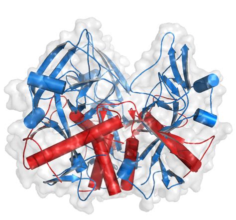 A mutation in the Ebola virus envelope glycoprotein restricts viral ...