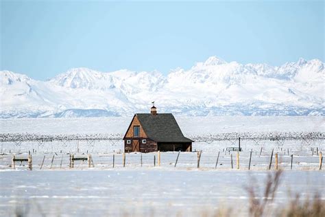 Big Piney Wyoming Snow Covered Trees, Snow And Ice, Wizardry, How To Get Warm, Wintry, Wyoming ...