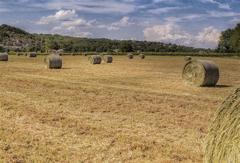 Free Images : landscape, plant, hay, field, farm, prairie, europe, harvest, crop, pasture ...