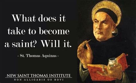 St thomas aquinas Quotes. QuotesGram