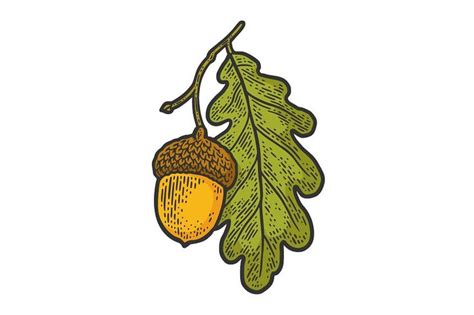 acorn with oak leaf sketch vector | Caminos de mesa de halloween, Mesa ...