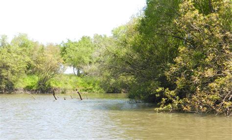 Negro River, Uruguay | The Masters of the Fly