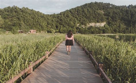 Suncheon Bay Wetland Reserve - How to Visit | There She Goes Again