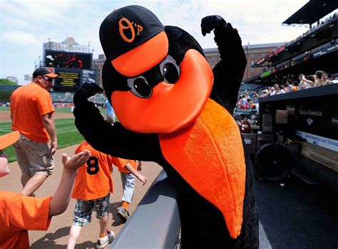 The Oriole Bird - Baltimore Orioles | Baltimore orioles baseball, Mascot, Baltimore orioles