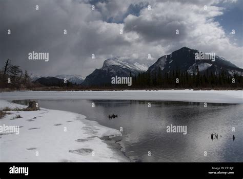 Vermillion Lakes late Winter Stock Photo - Alamy