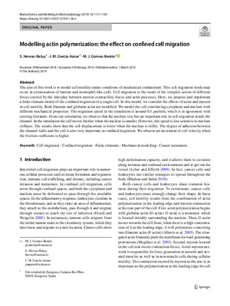 (PDF) Modelling actin polymerization: the effect on confined cell ...