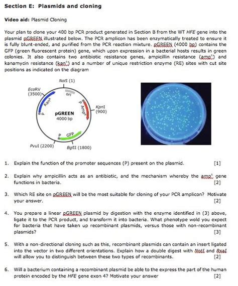 Solved question 6. Will a bacterium plasmid containing a | Chegg.com