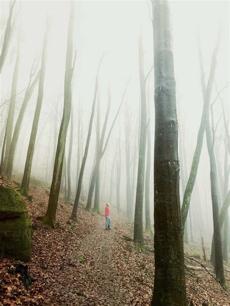 Germany, Rhineland Palatinate, Palatinate Forest, woman relaxing and ...