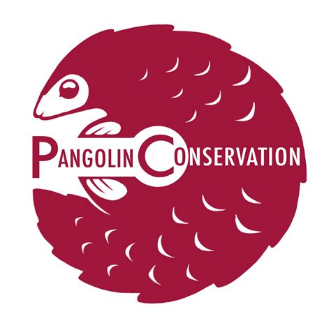 Pangolin Conservation • Africa Travel Centre