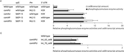 Phosphoglucomutase enzyme activities and celB transcript amounts for ...