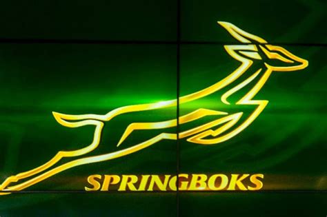 INSIGHT | Future of rugby’s Springbok emblem back in the spotlight