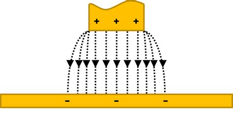 SKP and the Fringing Effect - BioLogic Learning Center