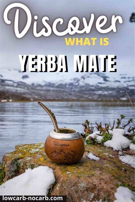 What Is Yerba Mate And Why You'll Love It