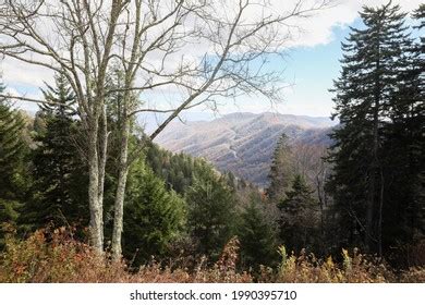 Newfound Gap Great Smoky Mountains Fall Stock Photo 1990395710 ...