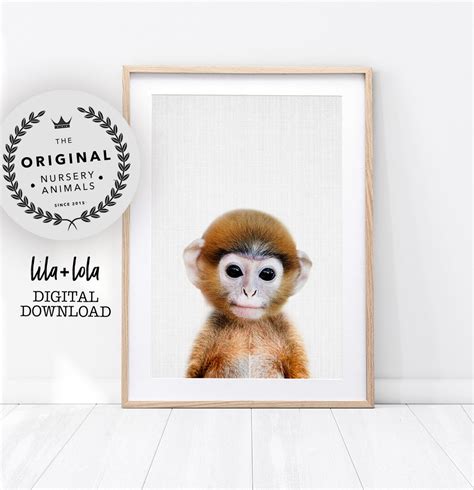 Baby Monkey Print Nursery Animal Wall Art Safari Decor - Etsy