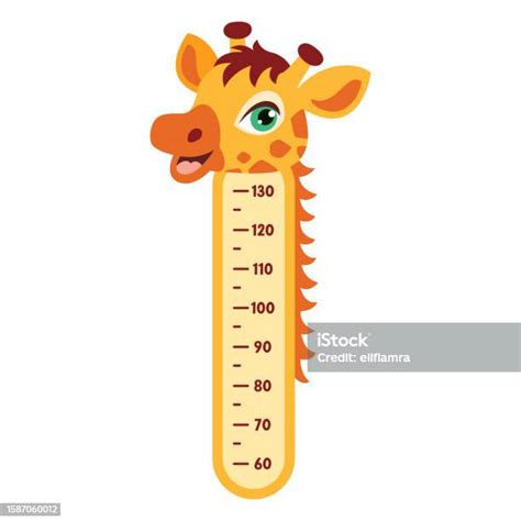 Height Chart With Cartoon Animals Stock Illustration - Download Image ...