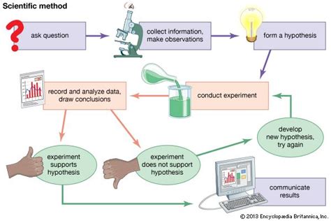 😎 Scientific method problem solving examples. Example of problem ...