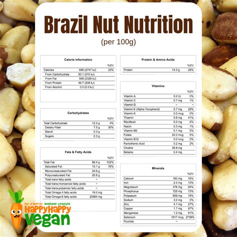 Brazil Nuts 101: Recipes, Health Benefits, Nutrition Facts, And More