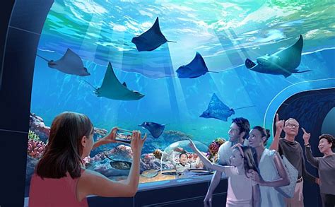 Aquarium at the Boardwalk to Open in Branson in 2020! - Branson Travel ...