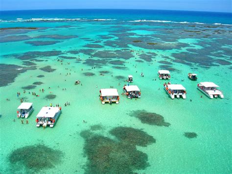 maragogi alagoas | Praias do brasil, Viagens, Maragogi