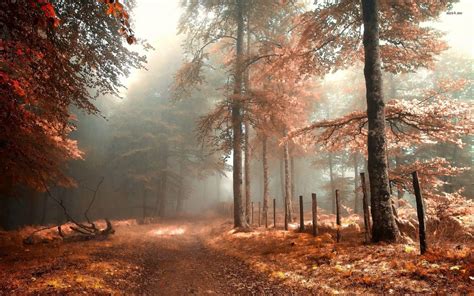Aesthetic Autumn Wallpapers - Wallpaper Cave