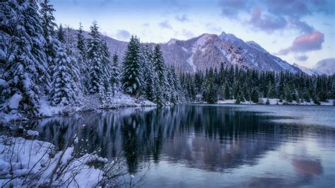 Forest Lake And Snow Covered Mountain During Winter 4K 5K HD Nature Wallpapers | HD Wallpapers ...