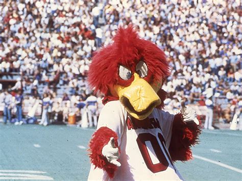 PHOTOS: 42 years of Cocky - The Daily Gamecock at University of South Carolina