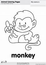 Monkey Pages For Coloring sketch template