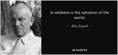 Aldo Leopold quote: In wildness is the salvation of the world.