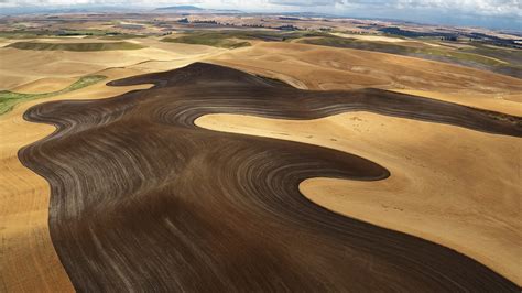 Palouse hills aerial photography - backiee