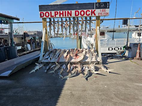 Port Aransas Fishing - Dolphin Docks