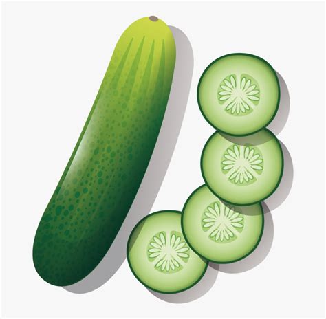 Cucumber Cartoon Drawing, HD Png Download - kindpng