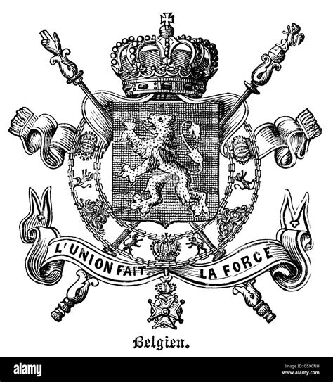 heraldry, coat of arms, Belgium, state coat of arms of the Kingdom of ...