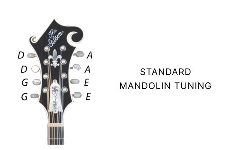 How To Tune A Mandolin - Guitar Tuner - Guitar Tunio