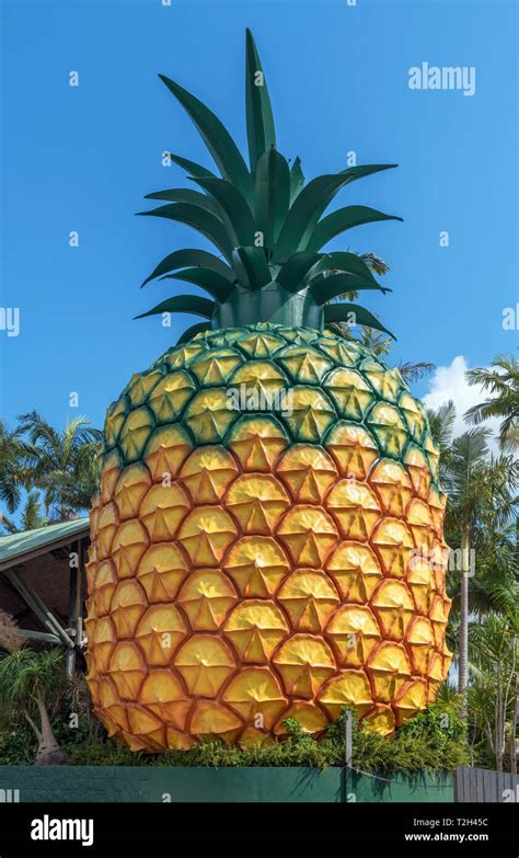 Australia the big pineapple hi-res stock photography and images - Alamy