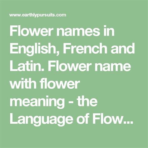 Flower names in English, French and Latin. Flower name with flower ...