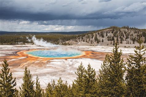 Yellowstone National Park - Family Travel Australia